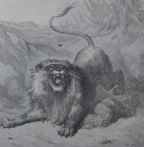 Le lion