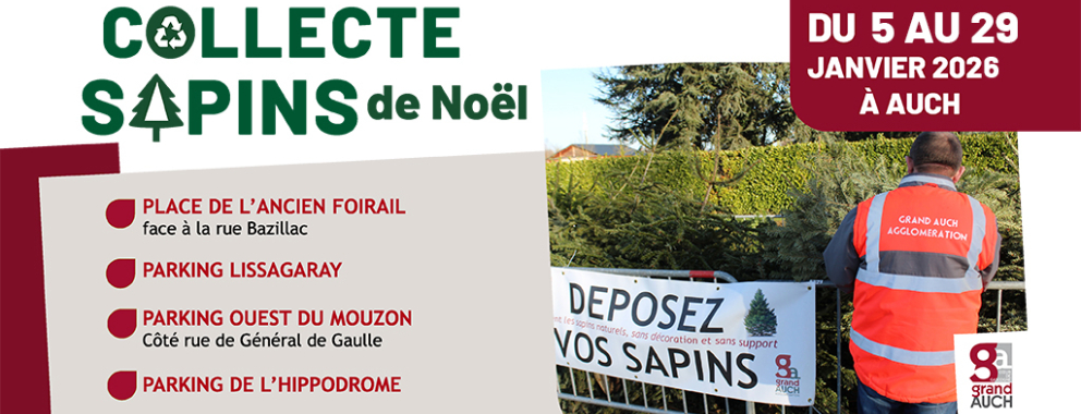 Après les fêtes, offrez une seconde vie à votre sapin ! 