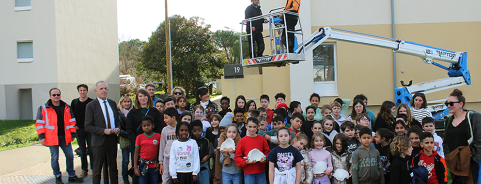 Biodiversité locale - Des nids pour les hirondelles