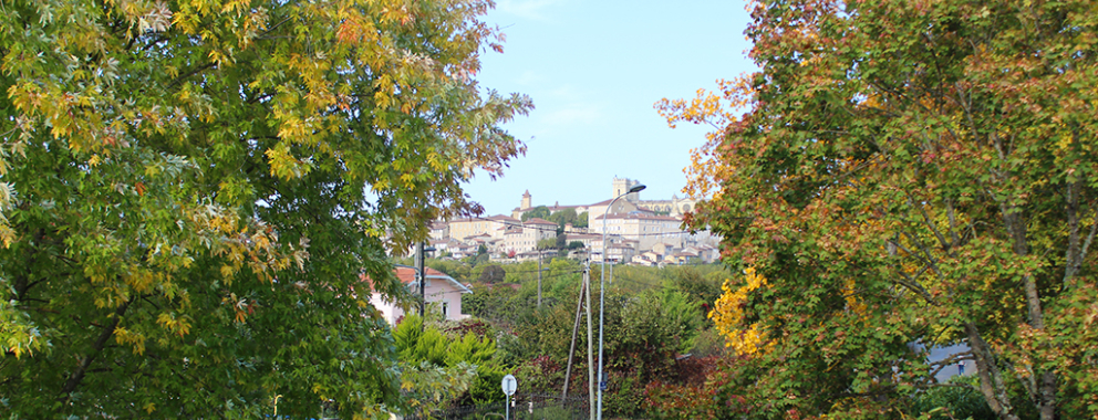 La ville d’Auch partenaire du festival « Sève qui peut »