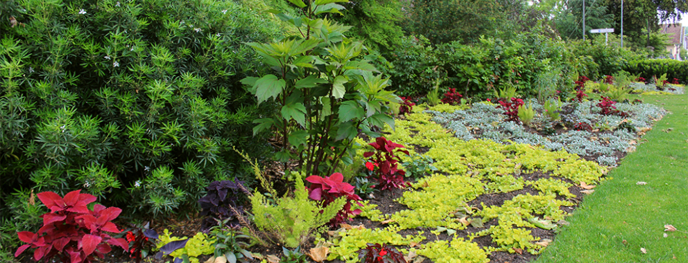  Espaces verts - Fleurs sur la ville 