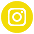 icon insta 2017