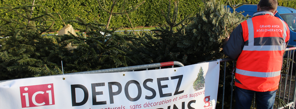 vignette une depotsapins 23dec2019