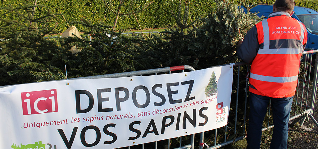 collecte sapins une