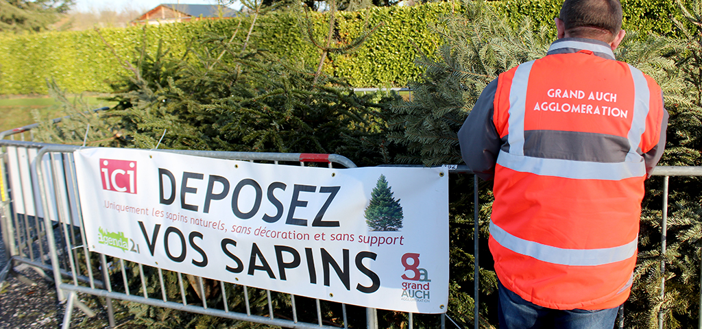 couv collecte des sapins 2022
