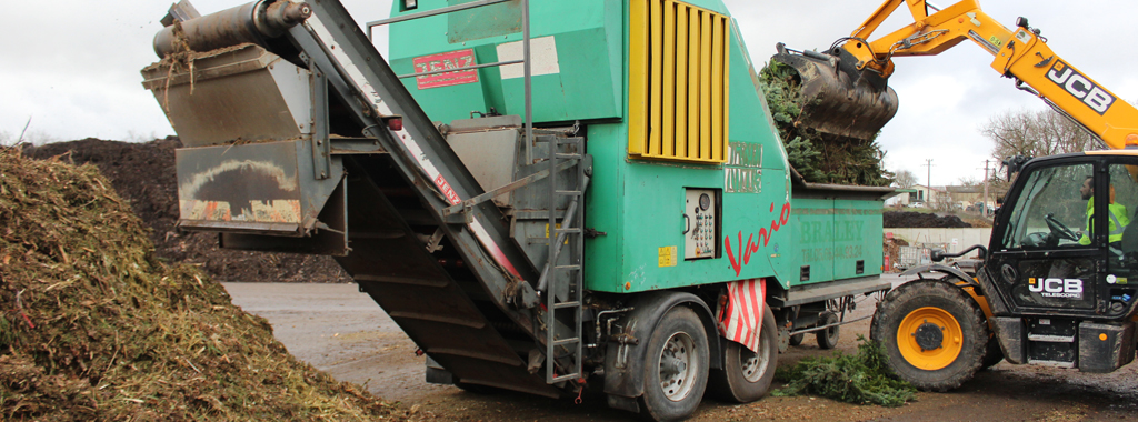 vignette une sapinsrecycl 13janv2020