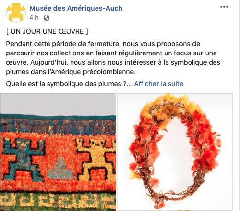 Musee Ameriques