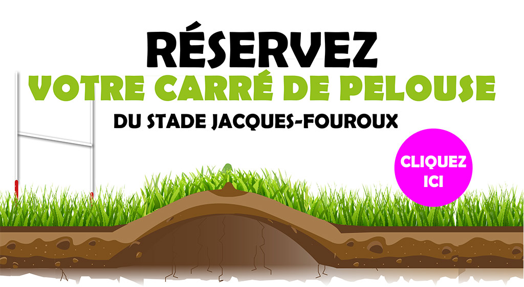 pave pelouse