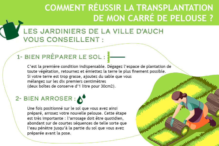 pave transplantation pelouse-