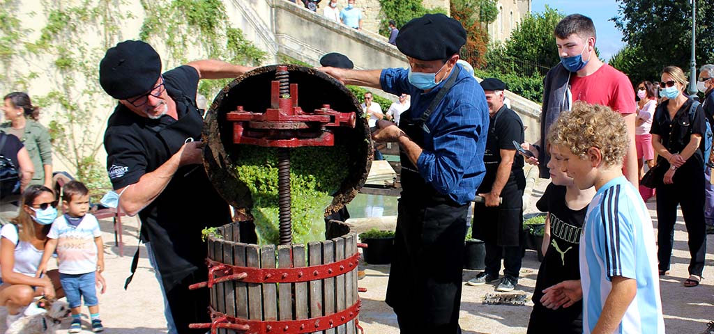 vendanges apres une