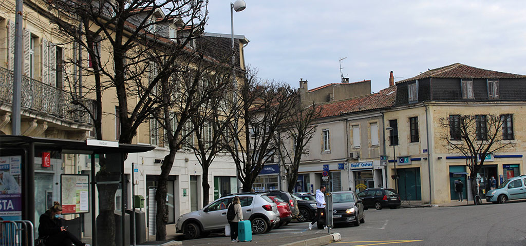 arbres verdun une