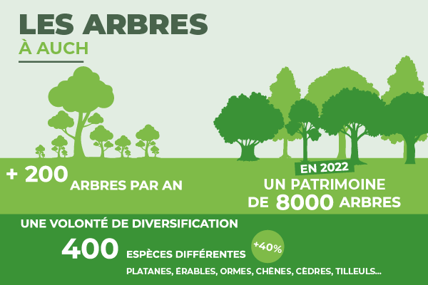 info arbres auch