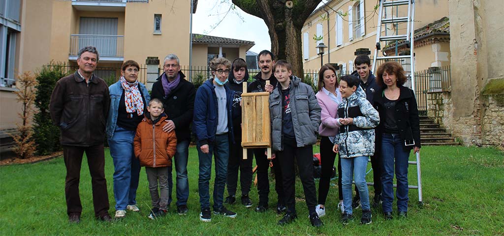 chauvesouris une