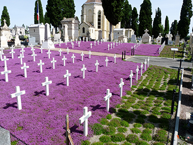 Carre-militaire fleurissement juin 2023