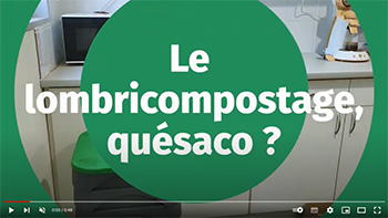 apercu lombri Youtube 2023