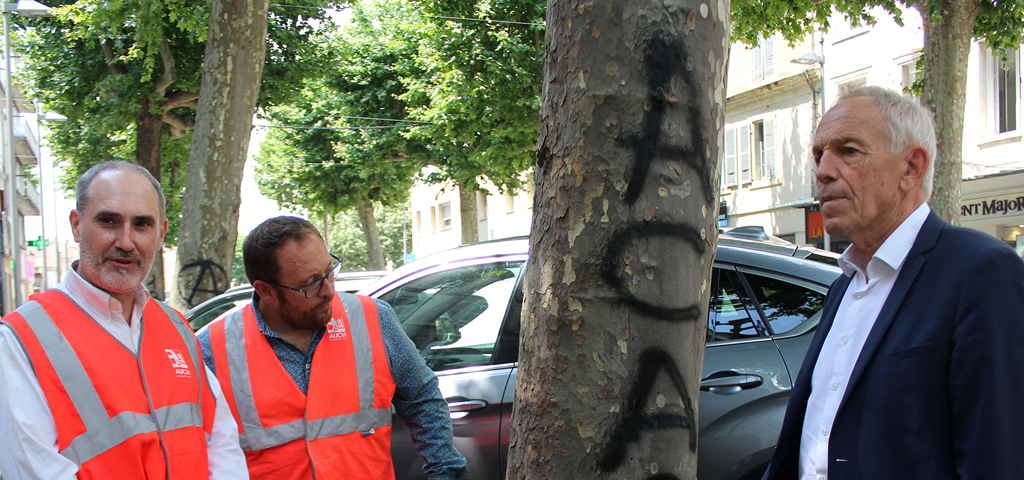 couv-vandalisme-arbres