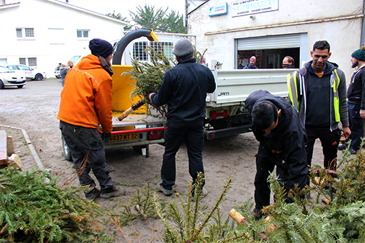 seconde-vie-sapins Auch 2023