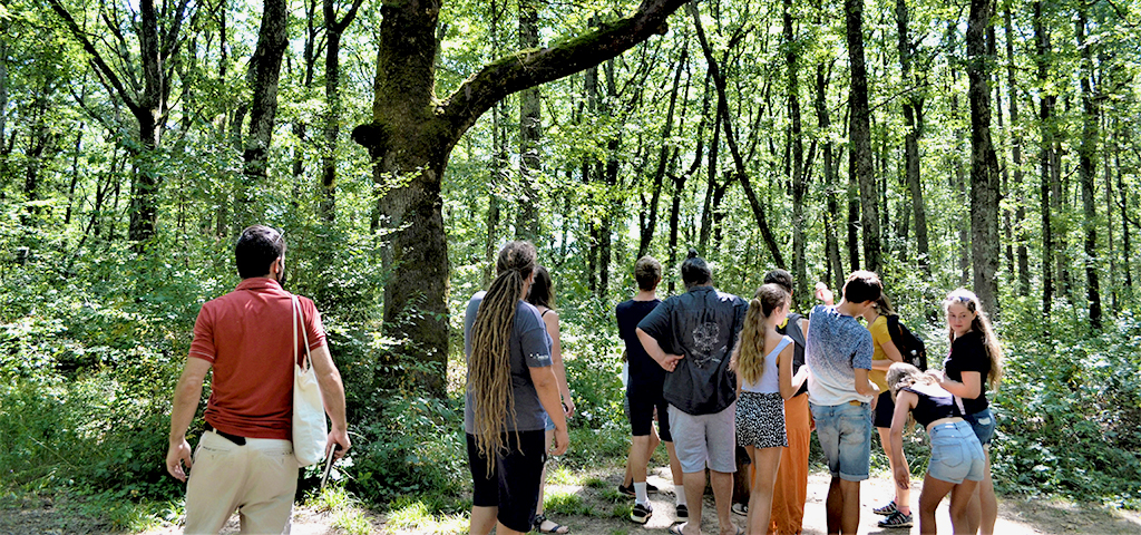 2024 couv RV jardins Bois Auch Grand Auch Coeur de Gascogne