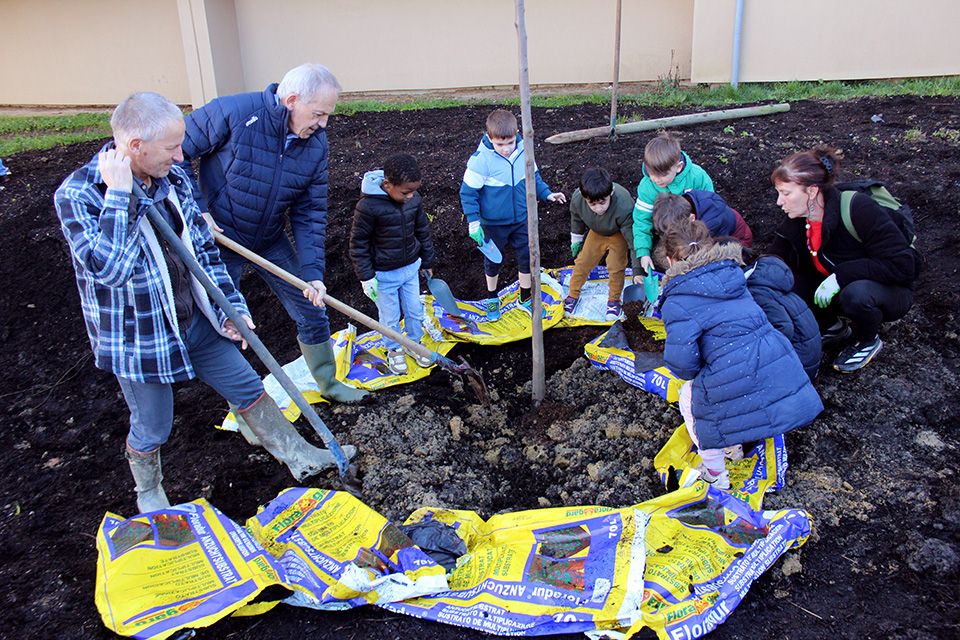 Grand Garros : les arbres de la concertation