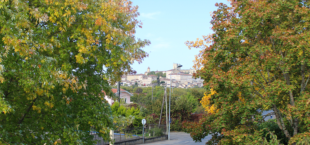 Vue sur la ville d'auch avec de gros arbres de par et d'autre du premier plan