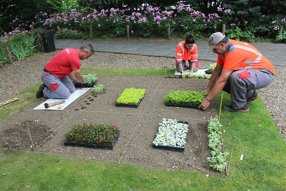 Entretien et fleurissements des espaces verts (2026) 2026 05 fleurissements