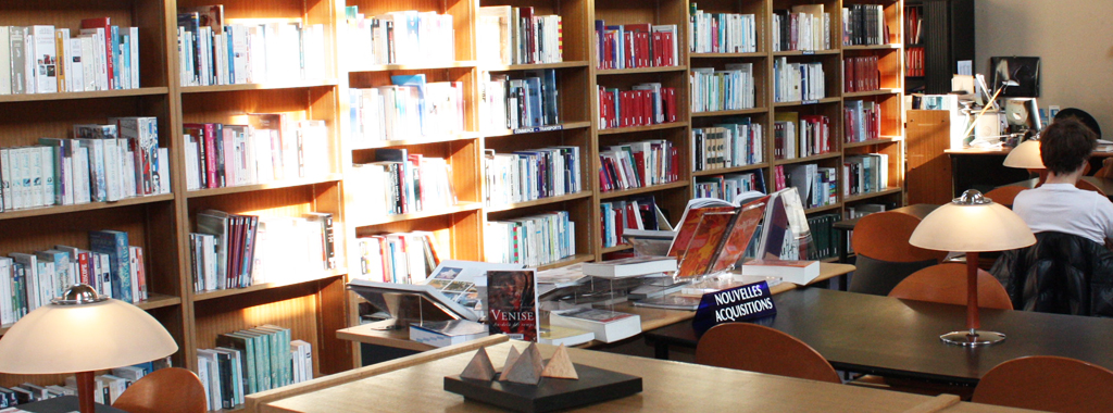vignette une bibliotheque 28aout2018