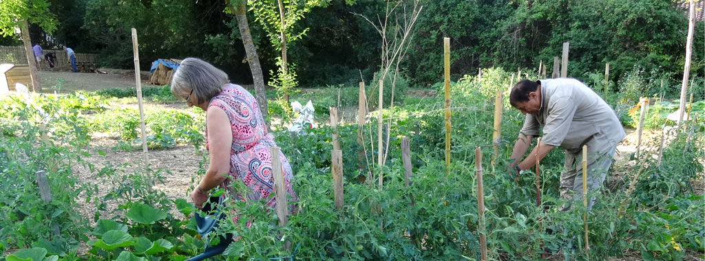 vignette une jardins partages 11avril18