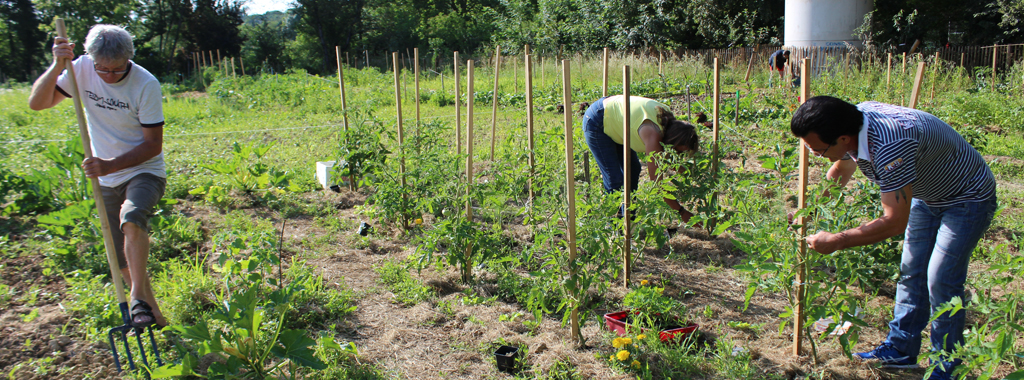 vignette une jardinpartage 03juillet2018