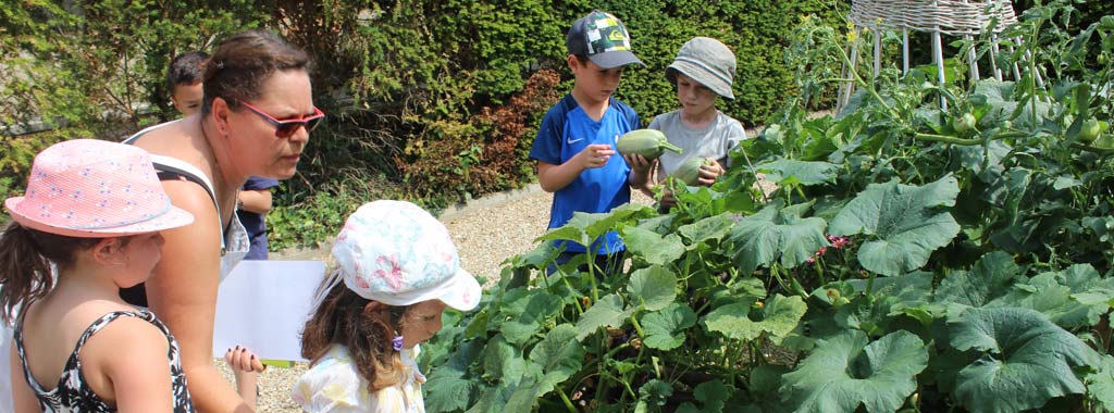 vignette une potager musee 21juin2017