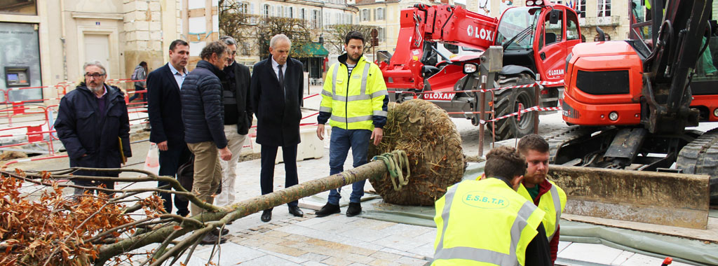 vignette une plantarbresrepublik 13novembre2018