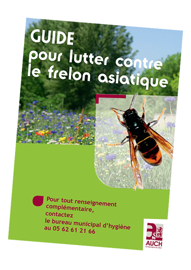 Frelon miniature