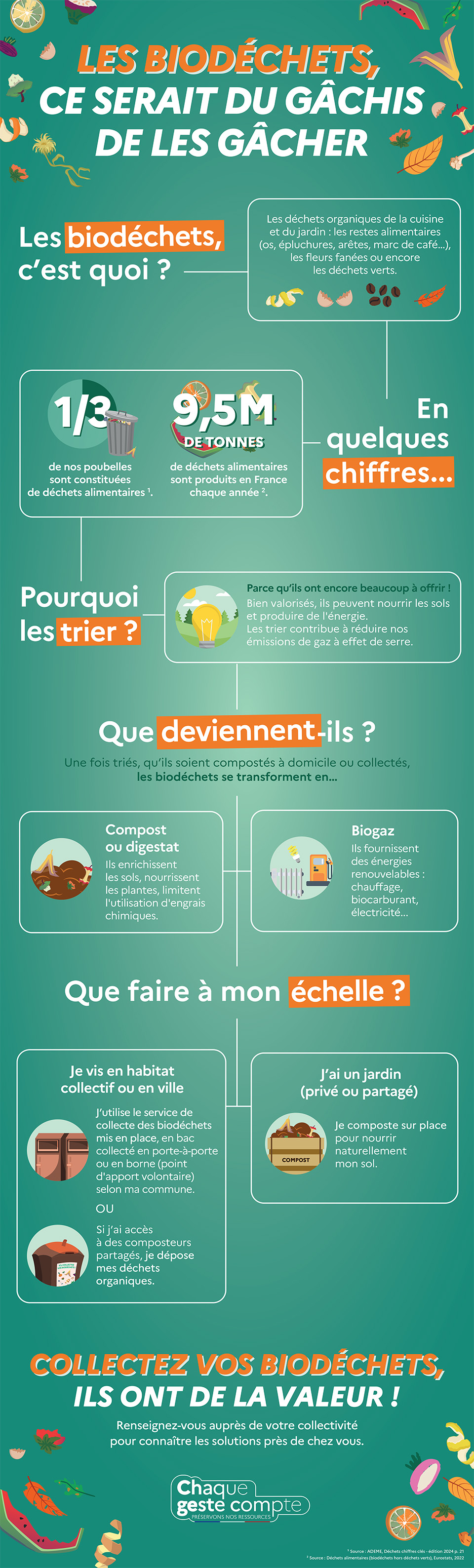 2025 apercu Infographie biodechets