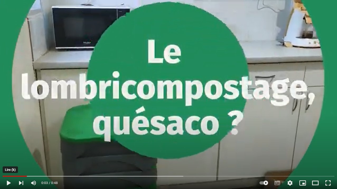 miniature-video lombricompostage 2023