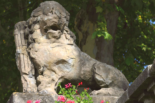 Plus d'infos